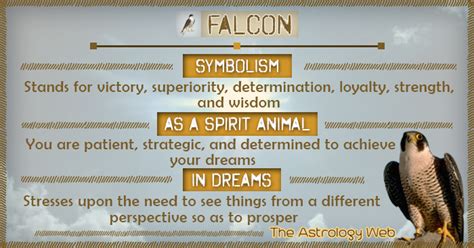 Falcon Meaning and Symbolism | The Astrology Web