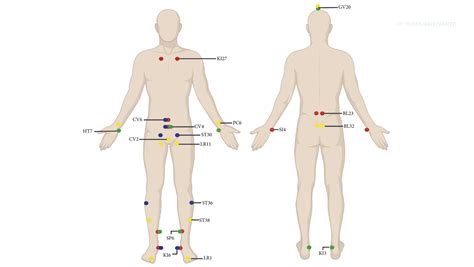 Acupuncture Erectile Dysfunction on Sale | www.ruthiesnotions.com