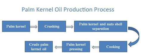 Customized & Effective Palm Kernel Oil Production Business Plan by ABC ...