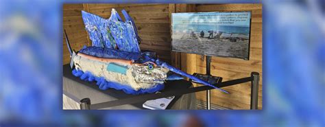 Marine Debris Art | Florida Atlantic University