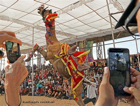 kailash Mittal Photography: The Pushkar Fair, also called the Pushkar Camel Fair or locally as ...