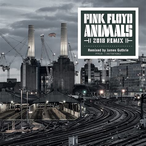 Pink Floyd - Animals (2018 Remix) [Vinyl] - Pop Music