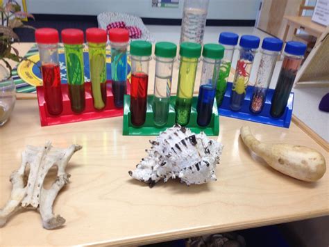 Look at these awesome science tubes from a classroom at our Spring Hill ...