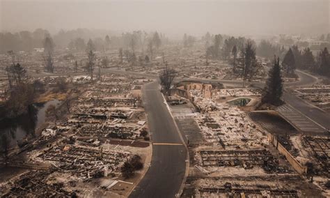 aftermath of southern Oregon wildfires | Photos | WWF