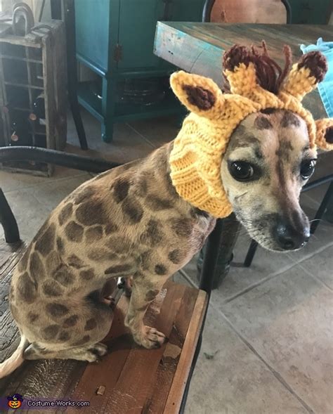 Giraffe Dog Costume | DIY Costumes Under $35