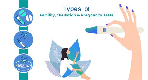 Different Types of Fertility, Ovulation, And Pregnancy Tests