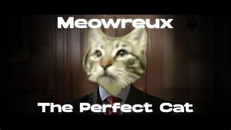 Meowreux - The Perfect Cat (MeowSynth) - YouTube