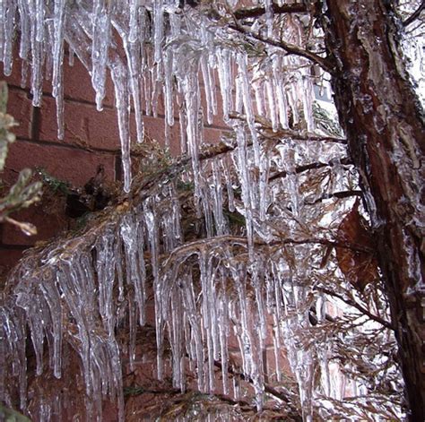 Photos of the 2013 Toronto ice storm