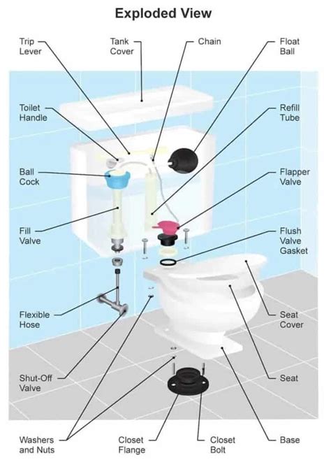 Parts Of A Toilet: What They Are And How To Fix Them, 40% OFF