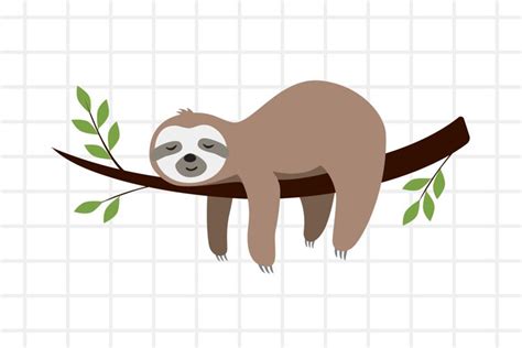 Cute cartoon sloth sleeping on a branch SVG, PNG, EPS, AI.