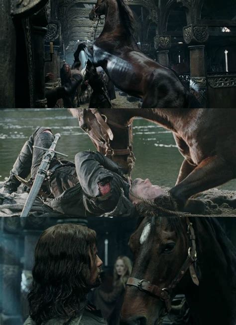 Day 11 of LOTR Challenge: Favourite Horse: Brego, I love Brego and ...