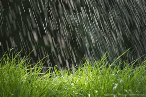 Rain falling on grass, close up | Rain | Pinterest | Rain fall and Rain