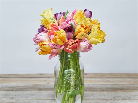 The 9 Best Online Flower Delivery Services in San Diego for 2024