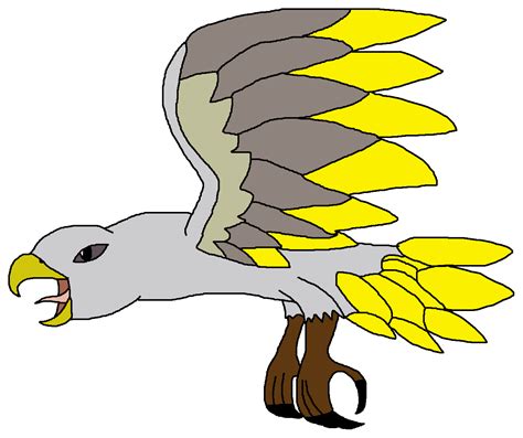 Haast's Eagle | Dinosaur Pedia Wikia | FANDOM powered by Wikia