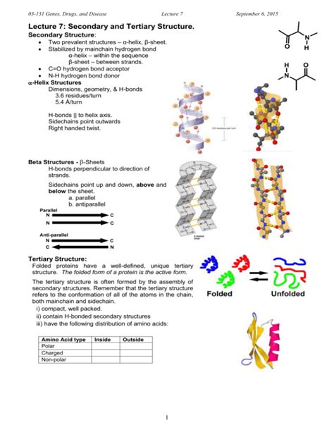 Lecture 7: Secondary and Tertiary Structure.