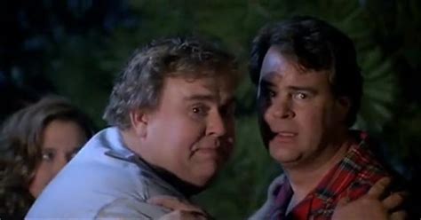 The Great Outdoors (1988) Starring: Dan Aykroyd, John Candy, Stephanie ...