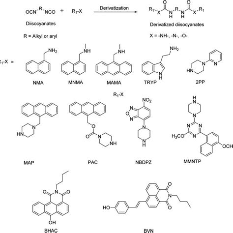 The schematic reaction of di-isocyanates with fluorescent derivatizing... | Download Scientific ...