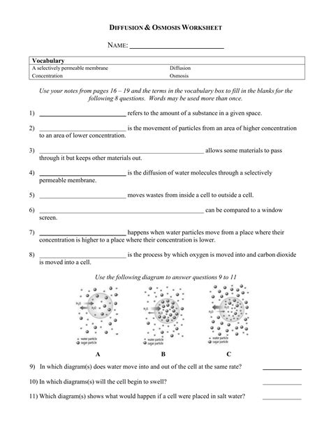 Diffusion And Osmosis Worksheet