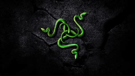 Snakes Wallpapers Hd