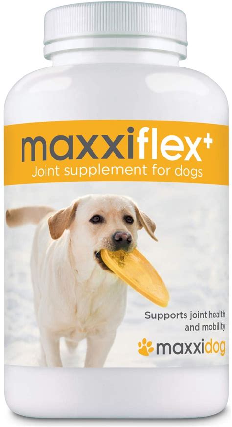 5 Best Dog Joint Supplement for Every Dog Breed - Best Protection Dogs