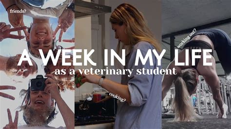 a week in my life as a vet student | Vet School Vlog - YouTube