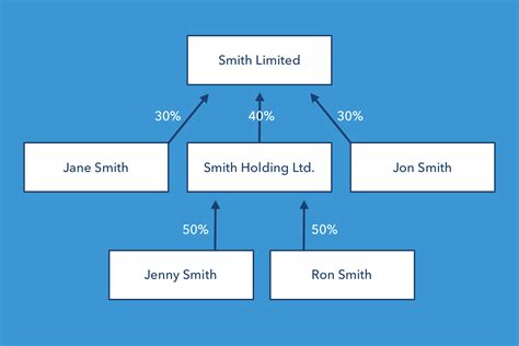 Diagram of Company's Ultimate Beneficial Owners (UBO) and Shareholder ...