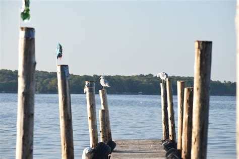 Log Cabins and Cottages photo's