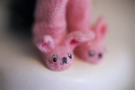 Pink Bunny Slippers on the Pink Bunny Pajamas | The feet of … | Flickr