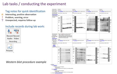 Electronic Lab Notebook Template