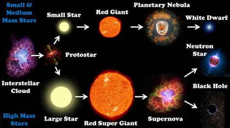 The Life Cycle Of Stars. - ppt download