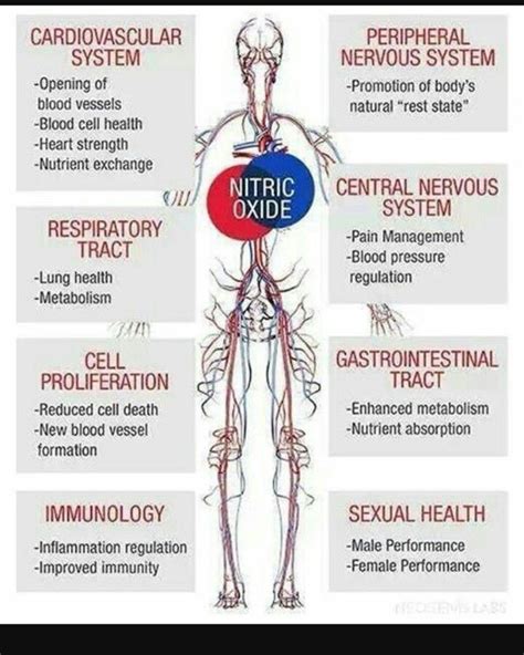 Pin on Kyani Health and Wealth