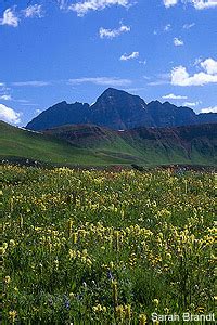 Crested Butte Camping Guide