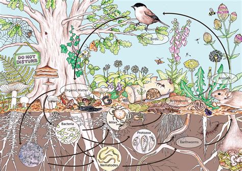 Permaculture Puts Organic Gardening on Autopilot » HG