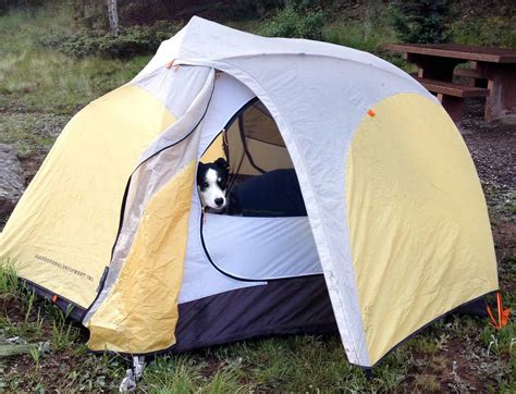 14 Crucial Tips for Camping With a Dog in a Tent | Hiking with Fido