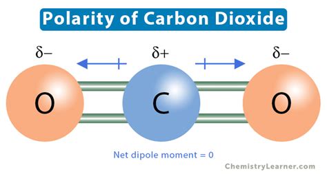 Polarity: Definition, Example, and How to Determine