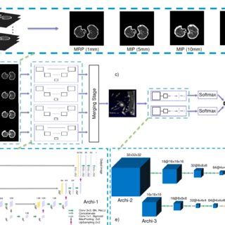 An overview of the designed CAD system. (a) Examples of inputs for ...