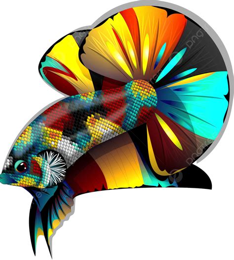 Betta Multi Colour, Betta, Cupang, Logo PNG Transparent Image and Clipart for Free Download