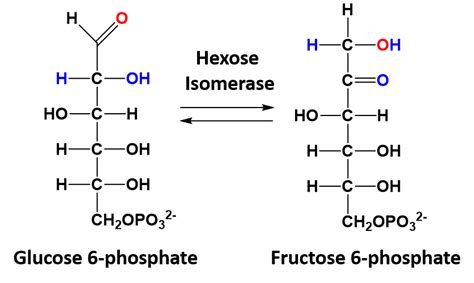 CH103 – Chapter 7: Chemical Reactions in Biological Systems – Chemistry