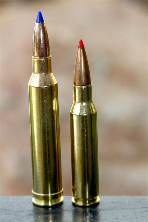 7mm-08 Remington vs. 7x57 Mauser & 7mm Remington Magnum — Ron Spomer Outdoors