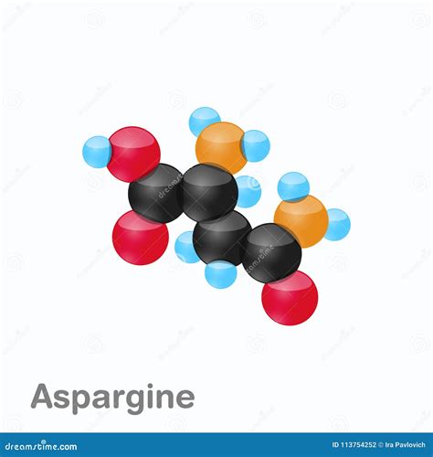 Molecule of Asparagine, Asn, an Amino Acid Used in the Biosynthesis of Proteins Stock ...