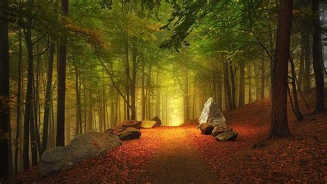 Path To Peace Wallpaper Hd Nature 4k Wallpapers Images Photos And Images