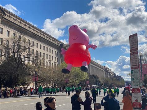 Cherry Blossom Festival Parade returns to DC after 3-year hibernation - WTOP News