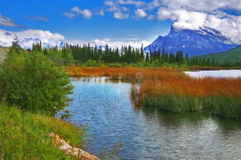 Shallow lake stock photo. Image of horizontal, contemplation - 8214696