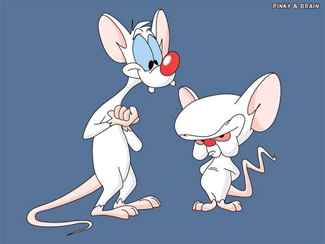 Pinky and The Brain (characters) | Looney Tunes Wiki | FANDOM powered by Wikia