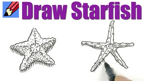 How to draw Starfish Real Easy - YouTube