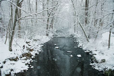 A Snowy Winter Scene in New England Stock Photo - Image of environment, cold: 113827034