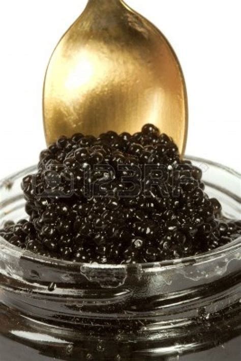 Beluga Caviar - - - The largest, rarest and most famous of the ...