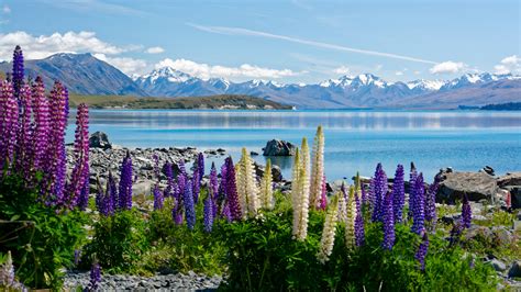 Lake Tekapo