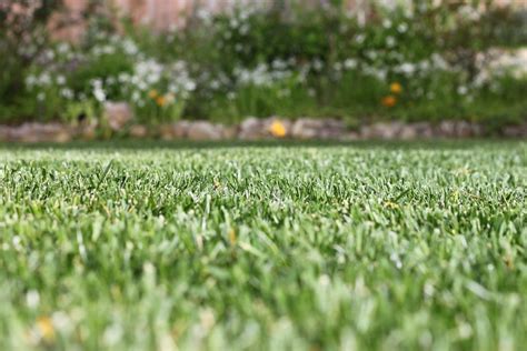 Fresh cut grass | Rolling Hills Estates, CA. March 2012. | Matthew ...