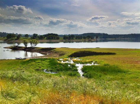 We love this photo taken by Tim Hansen! #beautiful #nature #amazing #lakecamanche | Lake ...